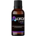 LOTOS Top Coat 0,05 л